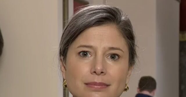 Dem Rep. Goodlander: Trump Has Become ‘Unglued by a Simple Statement of Federal Law’