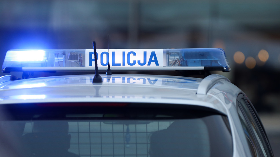 Polish students brutally beat up Ukrainian classmates – media (GRAPHIC VIDEO)