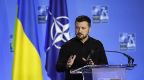 NATO ‘by any other name’: Zelensky’s bloc semantics and the concession illusion