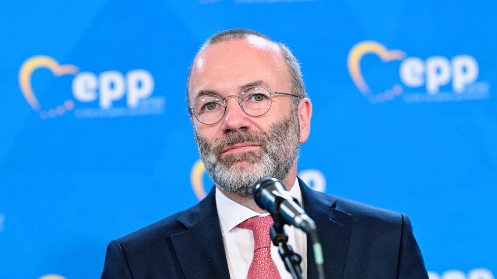Head of EU Parliament’s biggest faction wants German soldiers in Ukraine