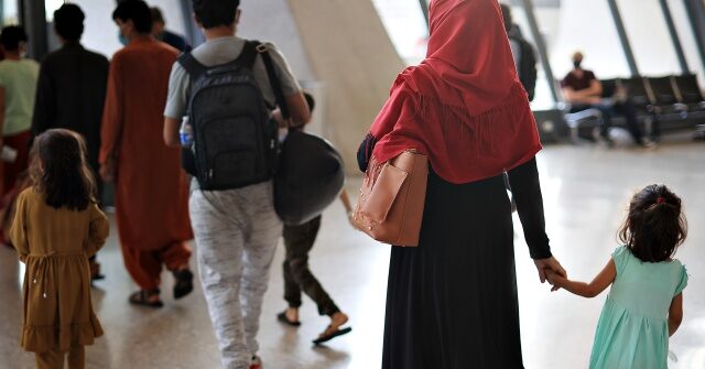 Exclusive — Tom Tiffany Leads Bill Allowing States to Veto Refugees: ‘No Community Should Be Blindsided’