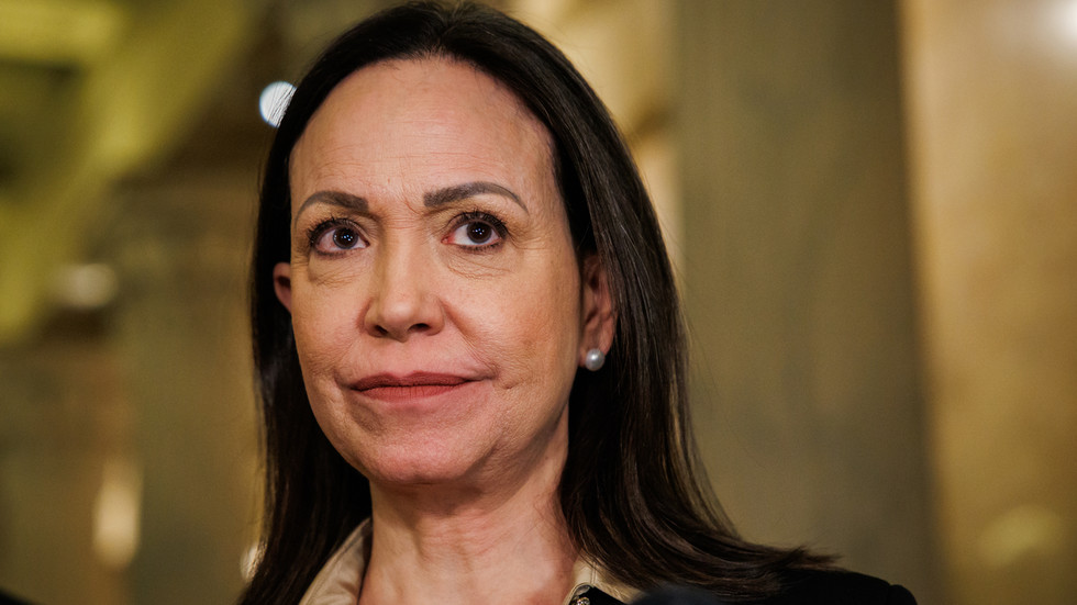 US lawmakers back Venezuelan opposition figure – NYT