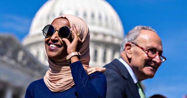 Democrats Bring Anti-ICE Activists, Illegal Aliens as Guests of Honor to State of the Union