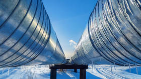 China prioritizes Russian gas amid Middle East conflict – media