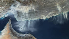 Securing Hormuz Strait should be ‘a team effort’ – Trump