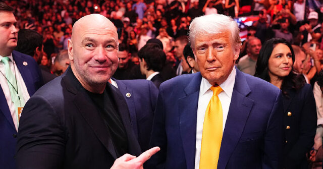 UFC Announces ‘Freedom 250’ Card for Big White House Event