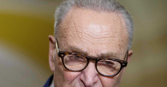 Schumer: SAVE America Act ‘Despicable,’ Trump Wants to ‘Cheat’ in Midterms