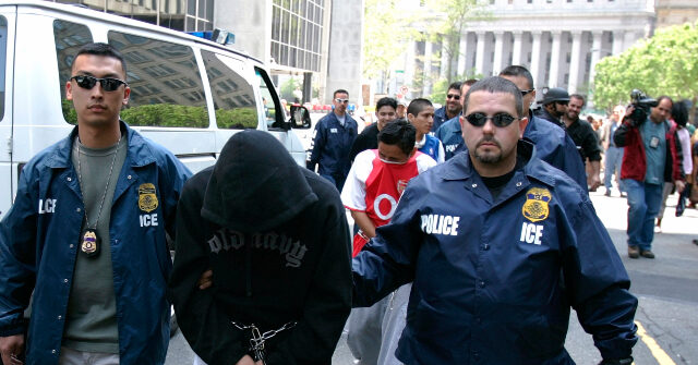 Report: ICE Has Arrested 20,000 Illegal Aliens in D.C. Region