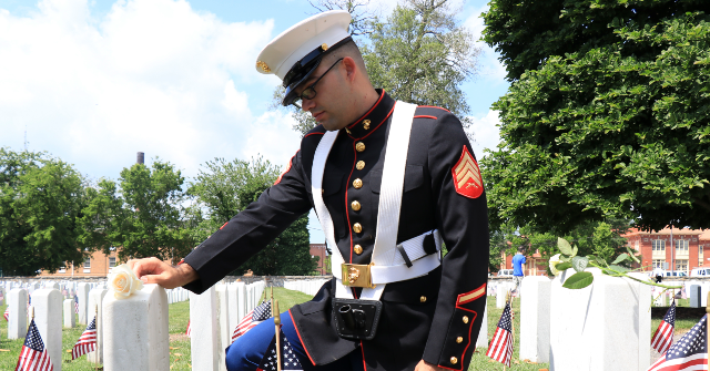 Memorial Day Tributes Pour In: ‘They Fought the Good Fight’