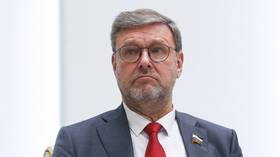 Armenia would do well to appreciate Russia’s support – senator