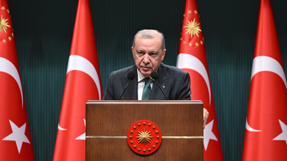 Why does Erdogan want a new constitution?