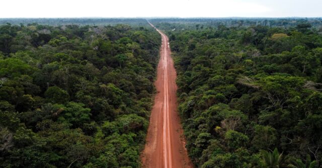 Brazil: Socialists Revamp Highway Cutting Through ‘Planet’s Lungs’ Amazon Rainforest