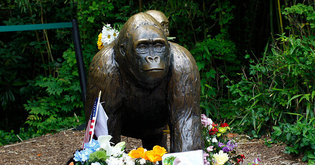 White House Honors ‘Legend’ Harambe the Gorilla: ‘True Patriot’