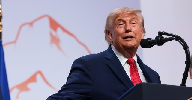 President Trump to Breitbart: Democrats Performing Poorly in Generic Polls Because They’re Running ‘Lunatics’