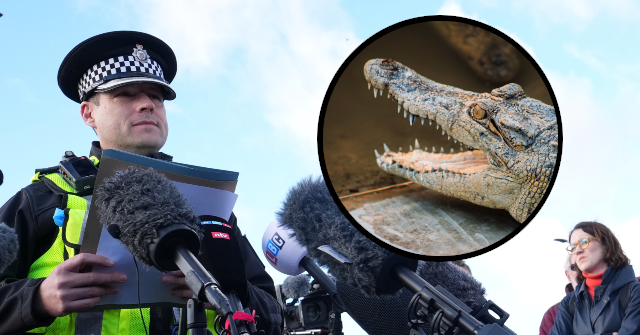 VIDEO — England: Police Release Man Accused of Forcing Toddler into Zoo’s Crocodile Enclosure