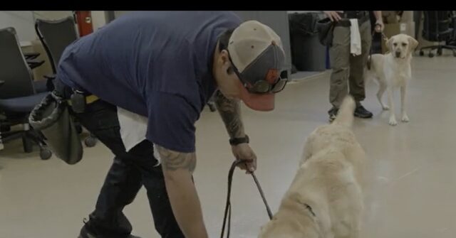 EXCLUSIVE: Breitbart News Gets Sneak Peak into ATF Canine Training