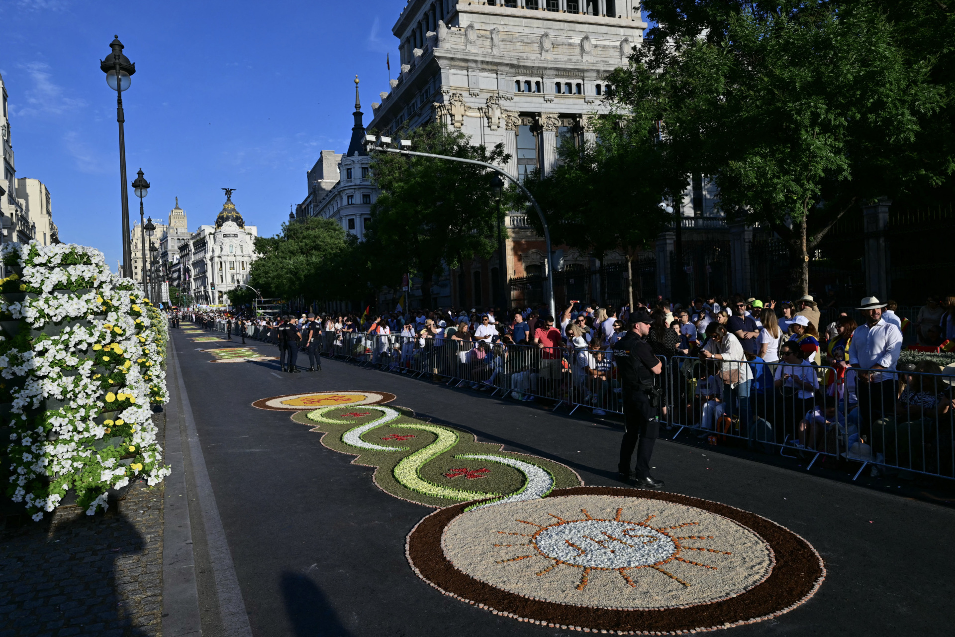 Flower petal carpets cover an adjacent street before the celebration of Holy Mass by Pope Leo XIV in the Plaza de Cibeles in Madrid on June 7, 2026. Pope Leo XIV is visiting Spain June 6-12 with stops in Madrid, Barcelona, and the Canary Islands, where he will meet with migrants and organisations dedicated to helping them. (Photo by Stefano RELLANDINI / AFP via Getty Images)