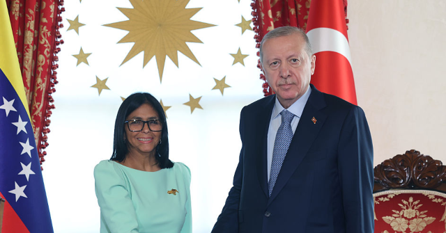 Venezuela’s Interim President Meets Old Maduro Pal Erdogan in Turkey