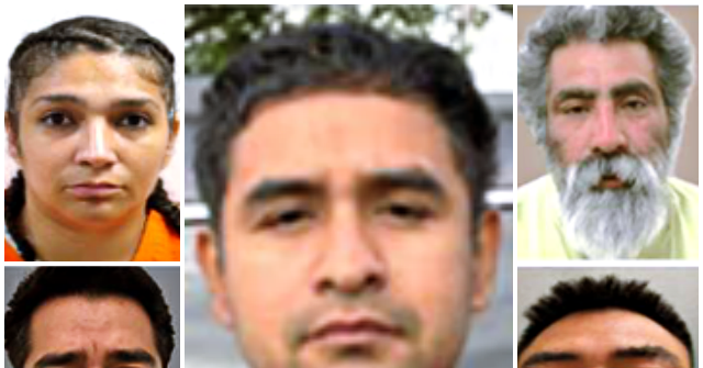 ICE Agents Arrest Illegal Aliens Convicted of Armed Assault, Terrorist Threats, Drug Conspiracy