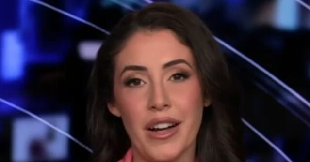 GOP Rep. Luna Rejects Democrat Proposal to Replace ICE