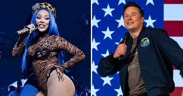 Pop Singer Doja Cat Calls Elon Musk a ‘Barrel Chested Ewok’ While Complaining About X Features