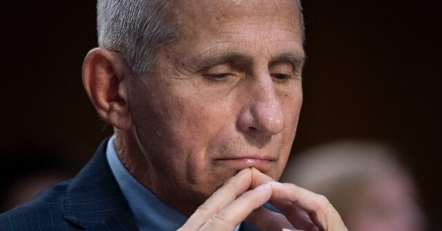 He ‘Lied’: Tulsi Gabbard Releases Evidence Fauci Allegedly Directed Funding for ‘Risky’ Coronavirus Research Linked to Big Pharma and Pursuit of ‘Universal Vaccines’