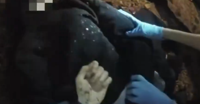 Farage: ‘White Lives Matter Too’: Outrage Builds as Police Dump Henry Nowak Handcuff Footage in Middle of Night