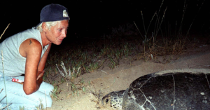 Lebanese Conservationist Who Protected Endangered Sea Turtles Died After Israeli Strike on Her Home