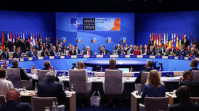 Italy blocking NATO pledge to Ukraine – media