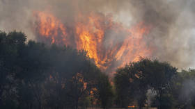 Wildfires force mass evacuations in France and Spain (VIDEOS)