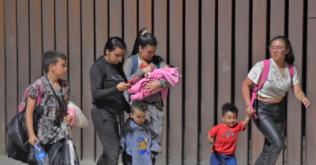 Poll: Plurality Say Children Born to Illegal Immigrants Should Not Get Automatic U.S. Citizenship