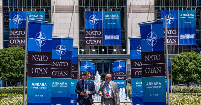 Zelensky Tells NATO he Wants ‘Strong Decisions’ Ahead of Trump Meeting at This Week’s Crunch Summit