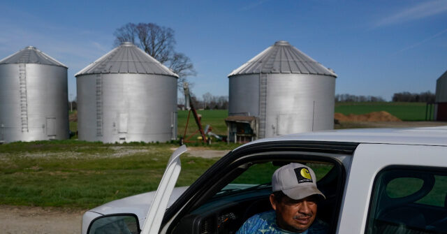 Tom Homan: Blue Sanctuary States Hiding Dangerous Illegal Migrant Truckers