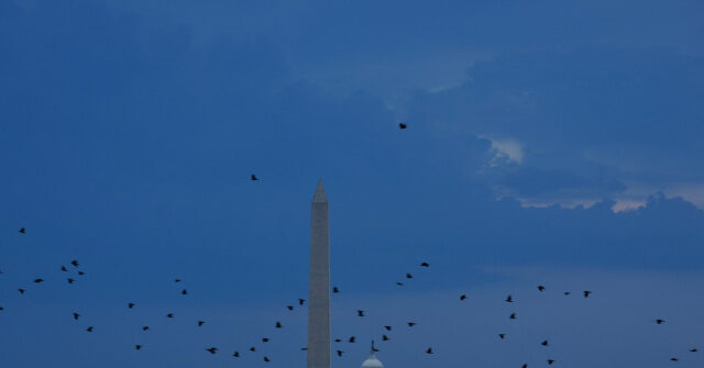 Trump Directs 4th of July Celebration on National Mall to Reopen Doors, Address Slated for 11:00 P.M.