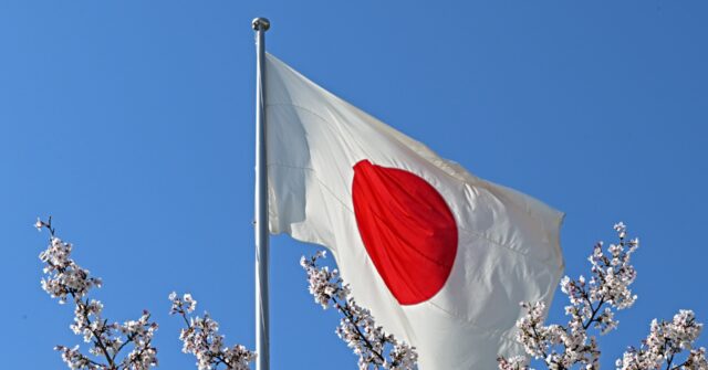 Japan Outlaws Desecration of National Flag, Vows to Punish Offenders