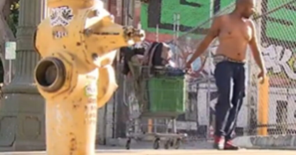 REPORT: The Number of Homeless People in Los Angeles is RISING Despite Billions in Spending (VIDEO)