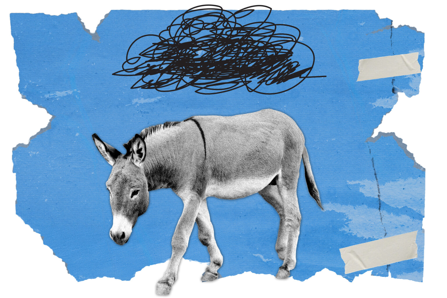 Top Democratic donors warn the DNC has a 2028 problem