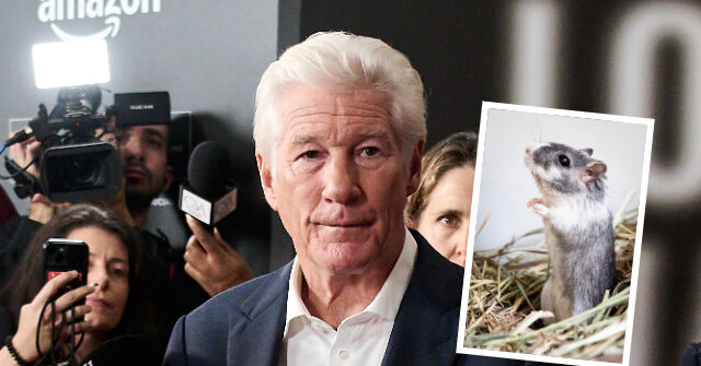White House Comms Chief Steven Cheung Trolls Richard Gere as ‘Guy That May Have Put a Gerbil Up His Ass’