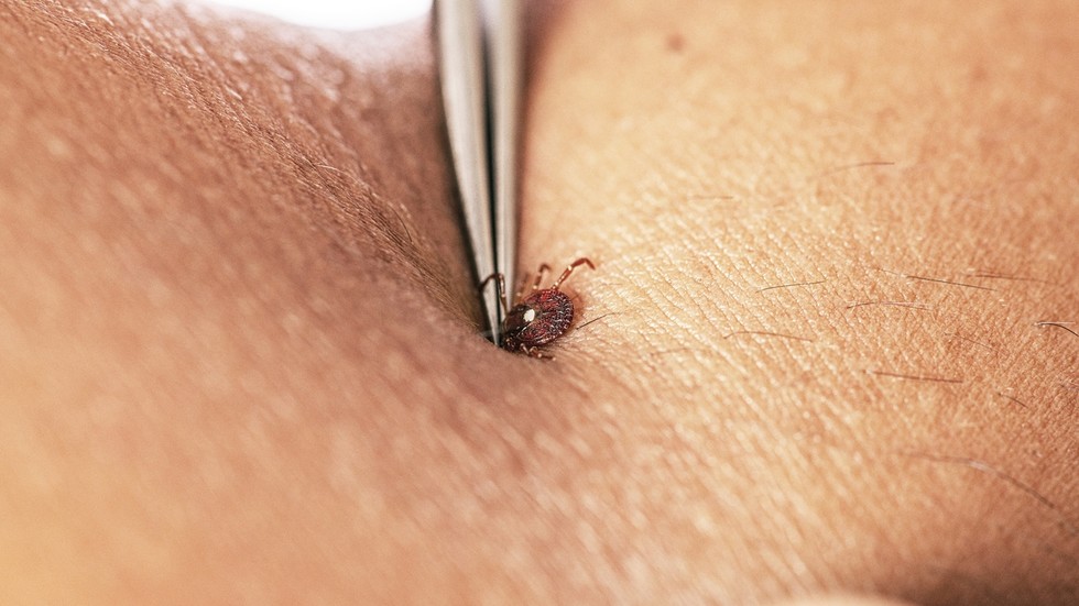 Rare virus with no cure detected in New York
