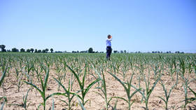 EU facing food crisis