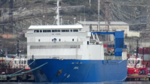 Turkish sailor killed in second drone strike after rescue – media