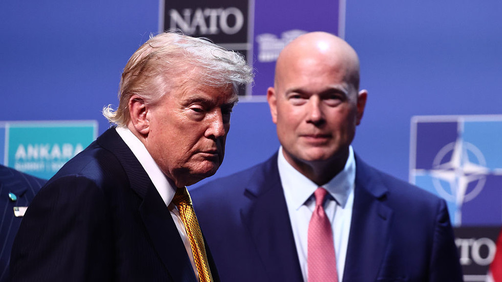 Europe only fourth on US security priority list – NATO envoy
