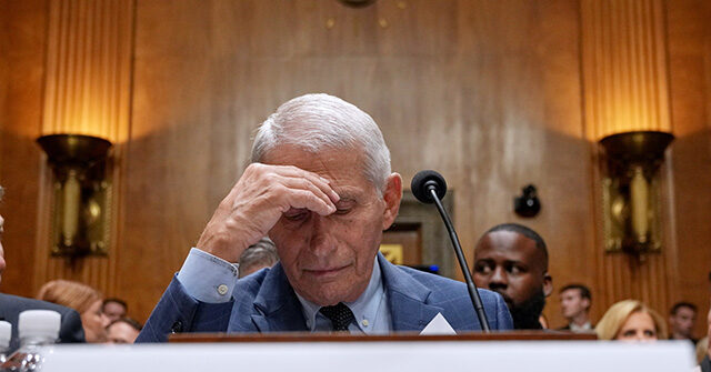 Fauci’s Phone Reveals Official at NIAID’s Vaccine Research Center Warned ‘Avoid Vaccination in First Trimester’ in 2021