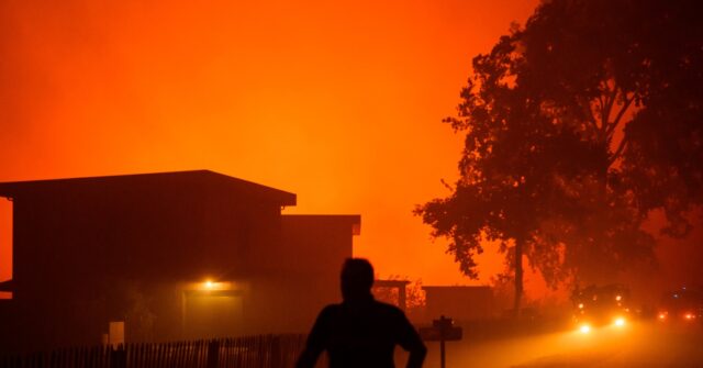 France Wildfires: Migrant With Deportation Order Charged with Robbing Evacuated Homes