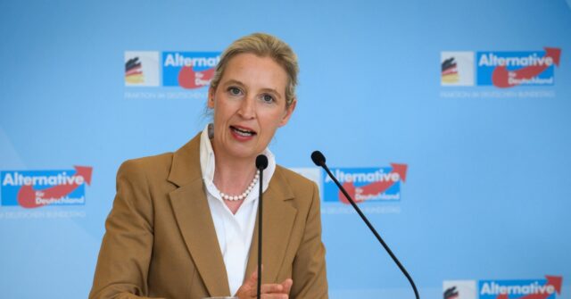 Germany’s AfD Calls for Domestic Political Spy Agency to Be Disbanded for ‘Suppressing Political Opposition’