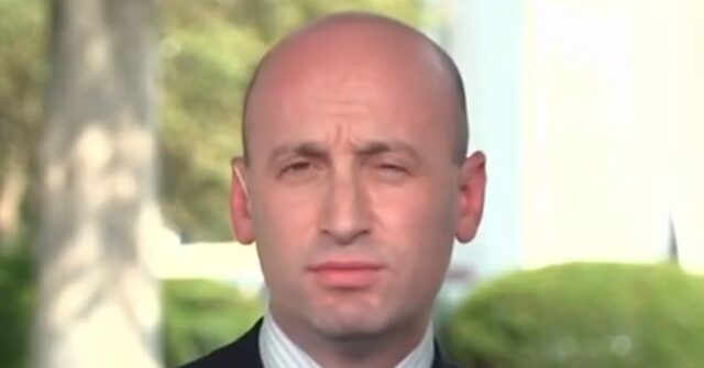 Stephen Miller: Cost of Adjudicating a Fake Asylum Claim Equivalent to Providing Free Cancer Treatment to a U.S. Citizen