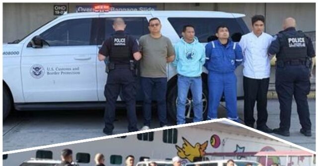 EXCLUSIVE: 11 Cruise Ship Crewmembers Arrested for Child Porn Offenses