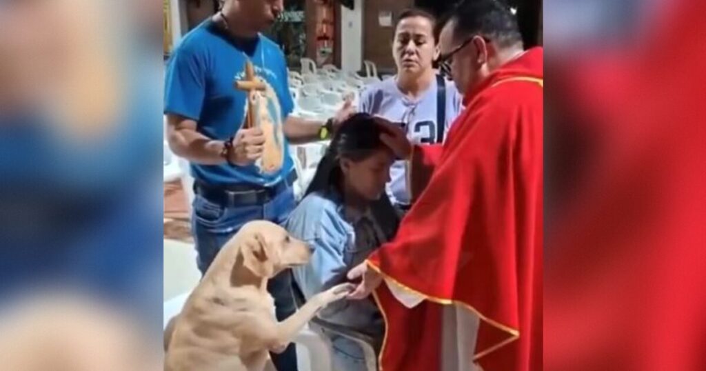 So Sweet! A Dog Named Simon Joins in Intercessory Prayers at a Catholic Church – And There’s More Video
