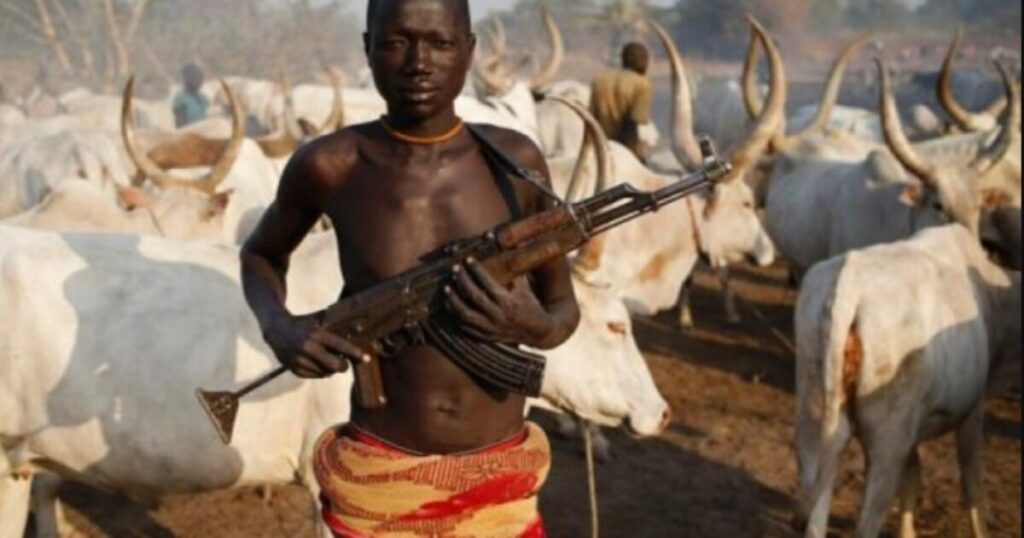 Nigeria Christian Community Leader Alleges Land-Grab Agenda Behind Massacres