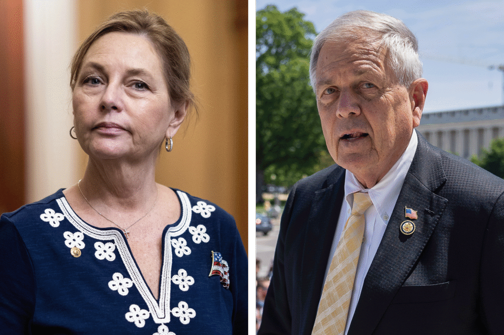 Darline Graham and Ralph Norman advance to a runoff for South Carolina Senate
